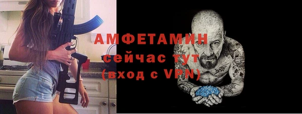 молекула духа Белокуриха