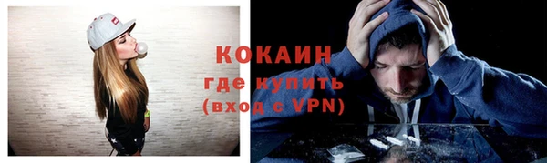 молекула духа Белокуриха
