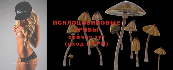 молекула духа Белокуриха