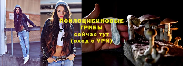 молекула духа Белокуриха