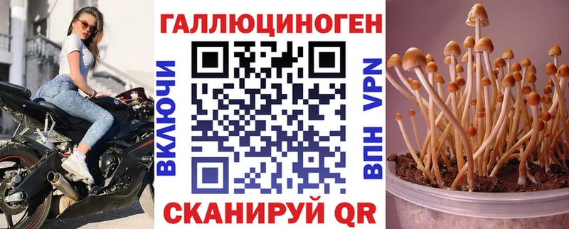 Псилоцибиновые грибы прущие грибы  Коряжма 
